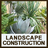 drought tolerant landscaping san diego county