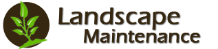 landscape maintenance in southern california