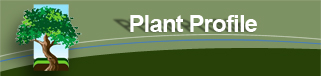 Plant Profile Header